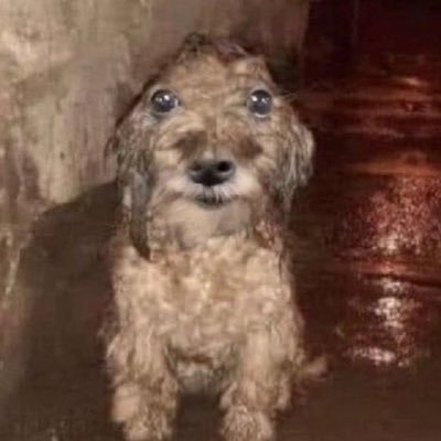 user374525777's profile picture. online rage room