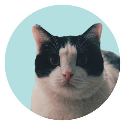 PedarePablo's profile picture. و نگار و کارون و سعید🔸#گربوی🔸گربه‌بان در @neglohotel