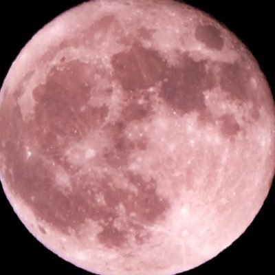 charcotaco's profile picture. 22 wonie, ot7