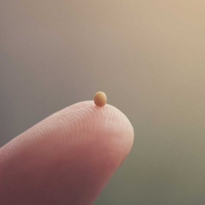 rlsbamasemperfi's profile picture. In love with God, Christ follower, MAGA/MAHA, USMC veteran, 37 years serving America's freedom, James 4:7, MAGA, gymrat, and artist wannabe. No DMs.