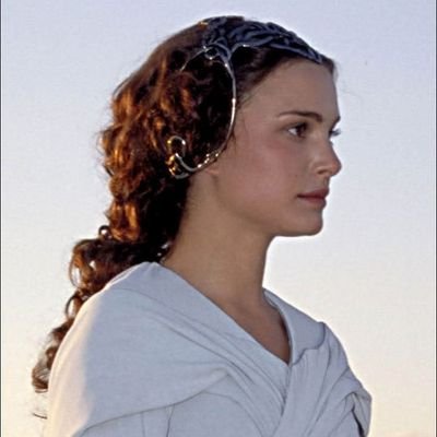 deerpadme's profile picture. i ♡ anidala • she/hers • bisexual