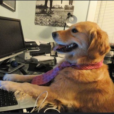 McGreevyMD's profile picture. I'm just a dog that uses the internet via Neuralink. A Labrador (kind of dumb) told me spacetime is curved. If this is so, why cant I ever catch my tail?