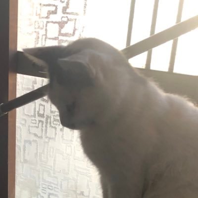 W10Hu's profile picture. 20↑