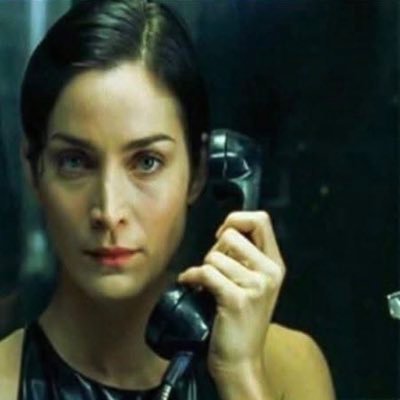ssssiege_'s profile picture. 