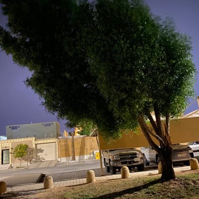 Anniehossein's profile picture. “You must be the change you wish to see in the world.” — Gandhi. ...