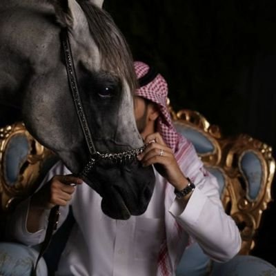 q8yki's profile picture. ومازال أعشق الخليج

@allhb781hbl حسابي الاول