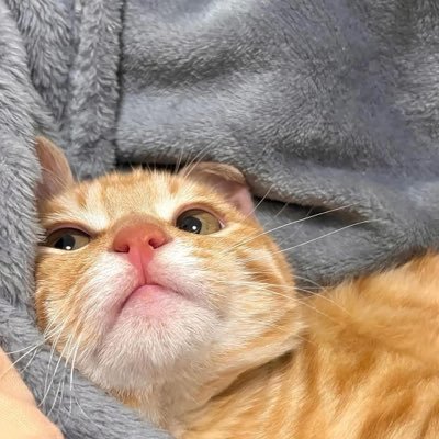 chuchihna's profile picture. It's me, hiiii