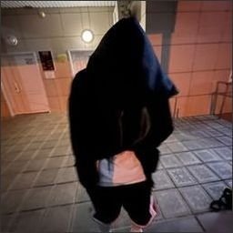 potthoff8096059's profile picture. Freedom is the greatest gift.
