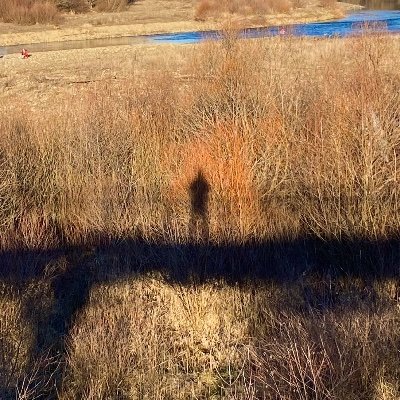 weathereed's profile picture. the sun will rise and we will try again