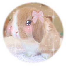 Bunnie ʚїɞさんのプロフィール画像