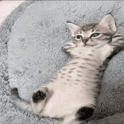 cuh1191456's profile picture. lover boy