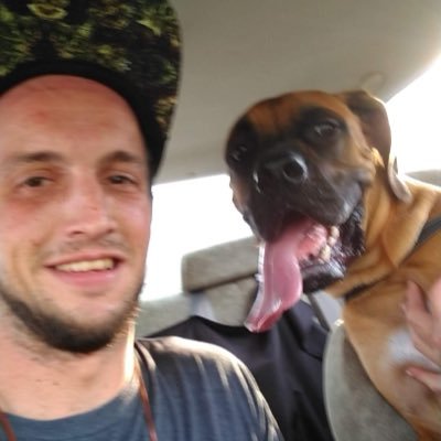 stephenwhitset1's profile picture. 