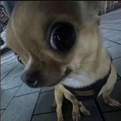 egromenawer's profile picture. 