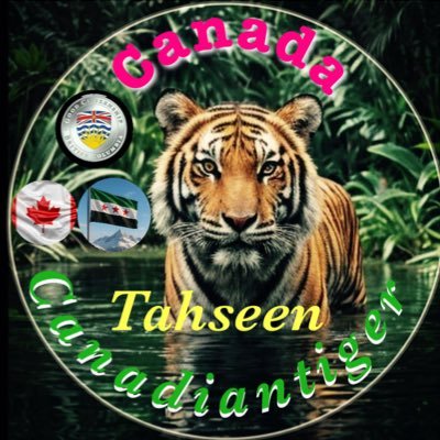 tigeradios's profile picture. Age : 73 years old , 𝓔𝔁-𝓐𝓲𝓻 𝓣𝓻𝓪𝓯𝓯𝓲𝓬 𝓒𝓸𝓷𝓽𝓻𝓸𝓵𝓵𝓮𝓻-Graduate from the Swedish Air Traffic Control Academy - Malmo-Sweden -𝓣𝓻𝓪𝓷𝓼𝓵𝓪𝓽𝓸𝓻