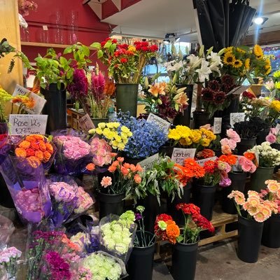 DMD316_'s profile picture. This is the official account of Diane Dewhirst. Any other accounts claiming to be Diane Dewhirst are not affiliated with me.