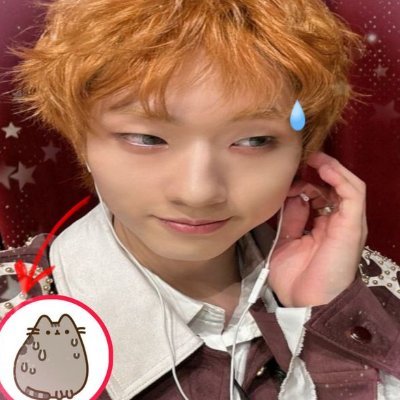mirahjoshi's profile picture. sanji x lestat truther
