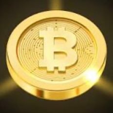 Imjustamemecoin's profile picture. Invest into the meme