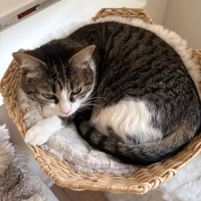 PUCKPOT577's profile picture. Max Swag