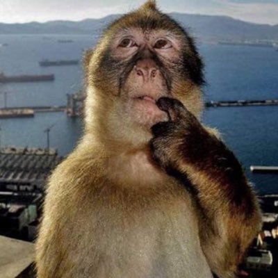 ogoshevchenko's profile picture. 