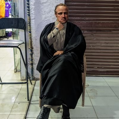 mahmoudsaber_01's profile picture. I am the Boss here!