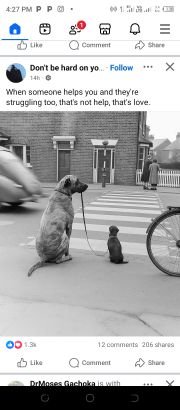 sparta11212792's profile picture. 