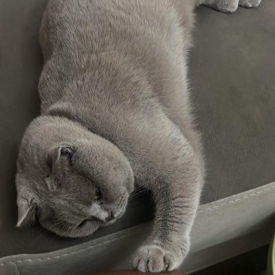 n_kagri's profile picture. 