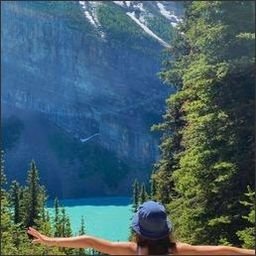 demarayvel41368's profile picture. 