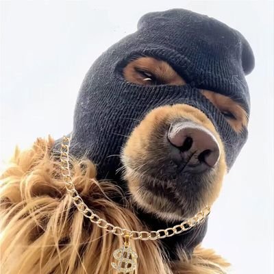 mr_rockettt's profile picture. Security Engineer / Pentester / Bug Hunter