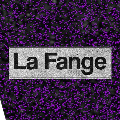 CestLaFange's profile picture. 