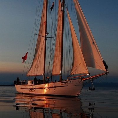 7852hatem's profile picture. وطن لا نحميه لا نستحق العيش فيه