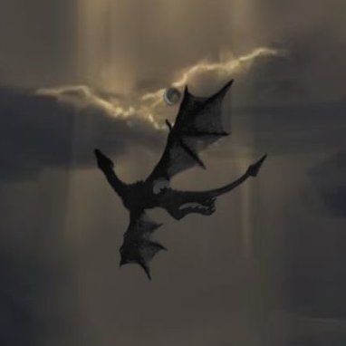 filipeogr's profile picture. per aspera ad astra. 3.014