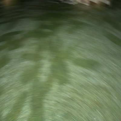 Thosdamghl's profile picture. 