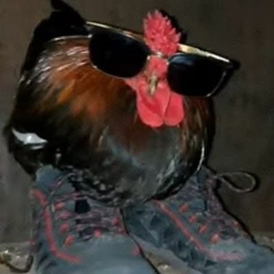 Runv5566's profile picture. 