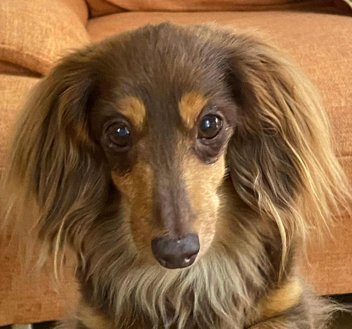 Jun8fhba's profile picture. 