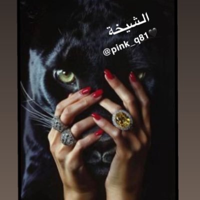 pink_q81's profile picture. واثق الخطى يمشي ملكا👑. اللهم ارحم أمي وأبي وأخواني واغفر لهم، وانظرإليهم بعين لطفك وكرمك يارحيم💜❤️♑️ الخااص 👻مسكووون https://t.co/e6JluDFSIJ