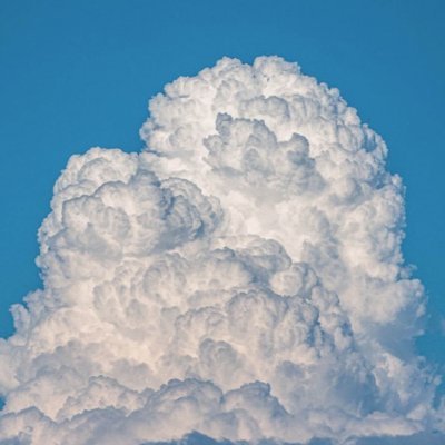 Sercven's profile picture. Serc/Seven