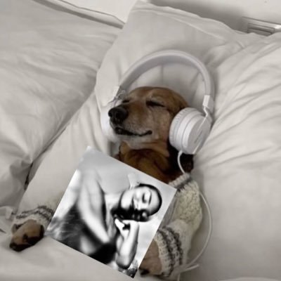 jb_luc_'s profile picture.