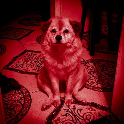 crlapa's profile picture. insta: crlapaa