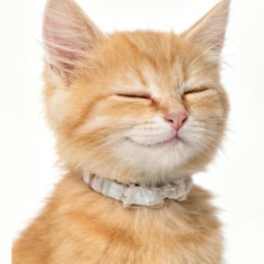 cqe_ms's profile picture. 2O