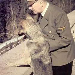 555floydog's profile picture. Watch Hellstorm &Europa the last battle &Communism by the backdoor &TGSNT &The Chekist-Just remember"they can't kill you when you're already dead" fyi grok lies