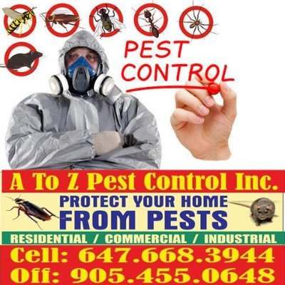 ranjith_sidhu1's profile picture. 🛑 Say Goodbye to Pests—From A to Z! 🛑
We specialize in the extermination of all kinds of pests—cockroaches, ants, spiders, flies, centipedes, and more❄️