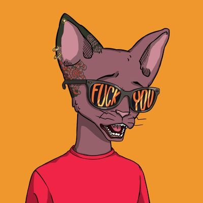 pBouDib's profile picture. Personal Account / Views are my own / Not Financial Advice 🇱🇧🇩🇪