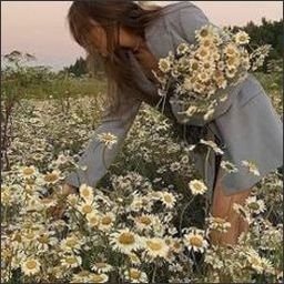 thorpefris62790's profile picture. 