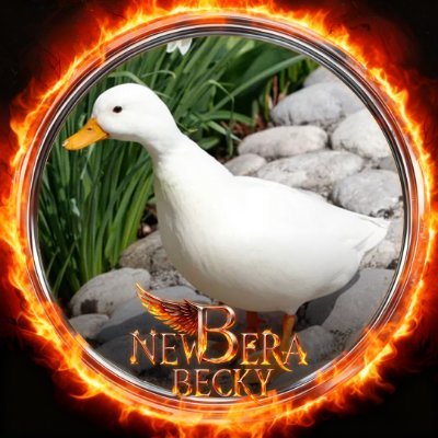 Madness78654's profile picture. ✨️Only for becky✨️