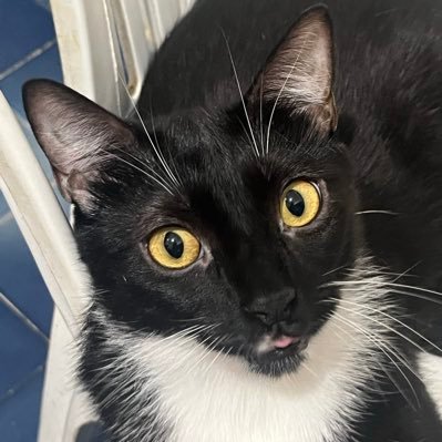 biamvl's profile picture. fã de volei, lésbica e ansiosa