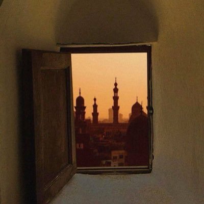 17M7b's profile picture. 