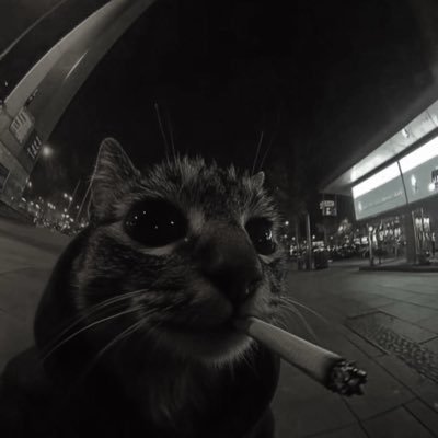 ghostさんのプロフィール画像
