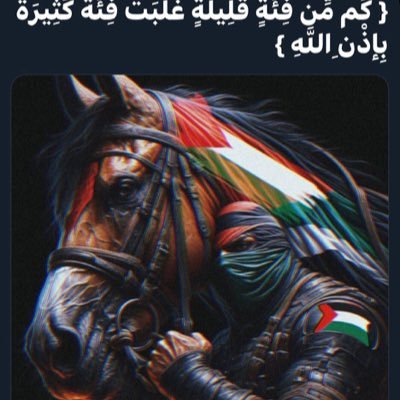 gamal_geemy's profile picture. الحساب الاصلى //سبحان الله وبحمده سبحان الله العظيم. اذا دعتك قدرتك على ظلم الناس فتذكر قدرة الله عليك///زملكاوى جدا