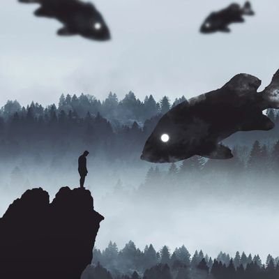 junzhe9208's profile picture.