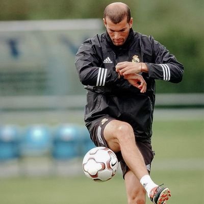 gregolzd's profile picture. 📊💻🎬🍺🍕🍃🐕‍🦺🌎📚 | #FUTVE 🇻🇪⚽️🇱🇻 | ROCK'N...♪♫ 🎸